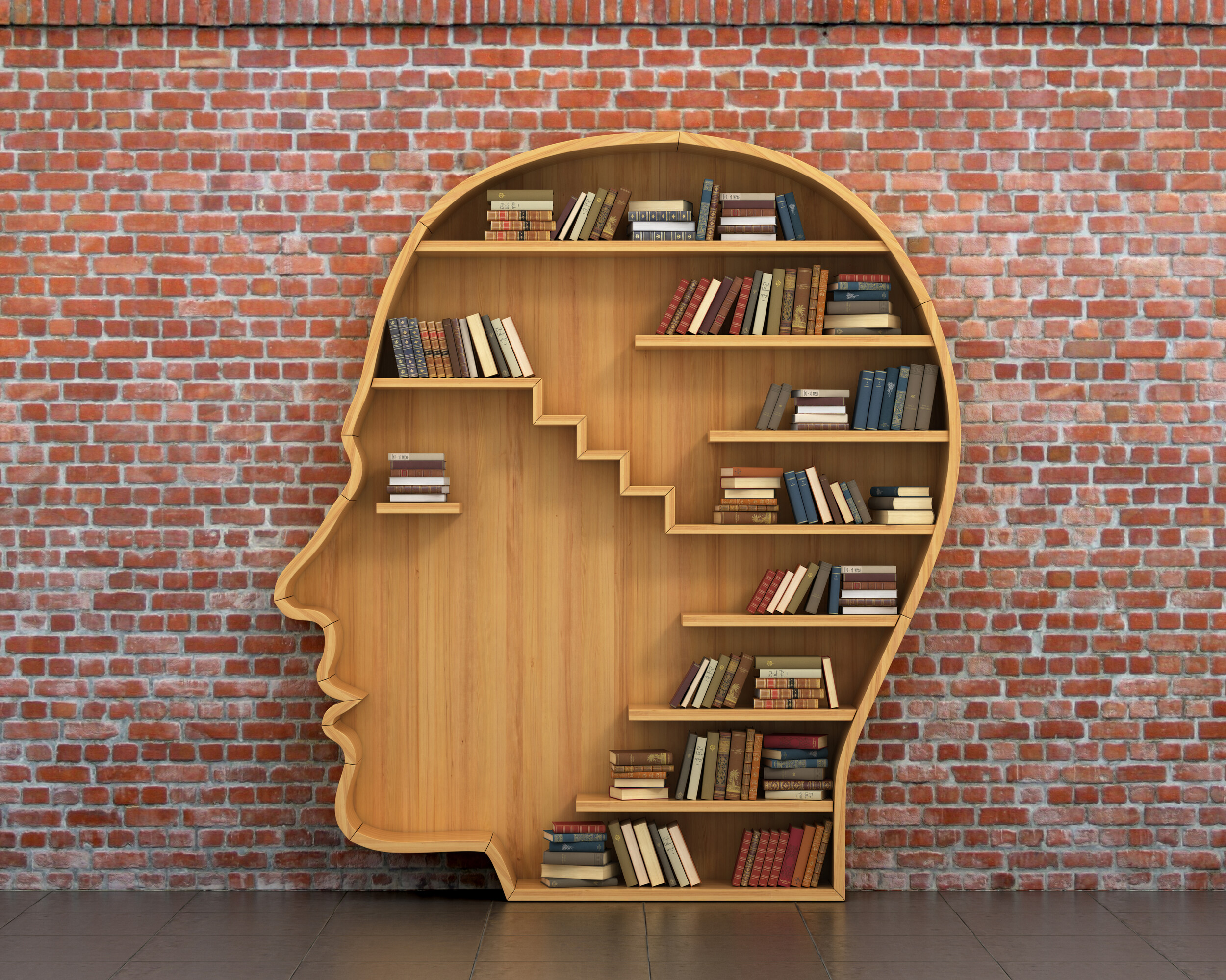 A bookcase shaped like a human head