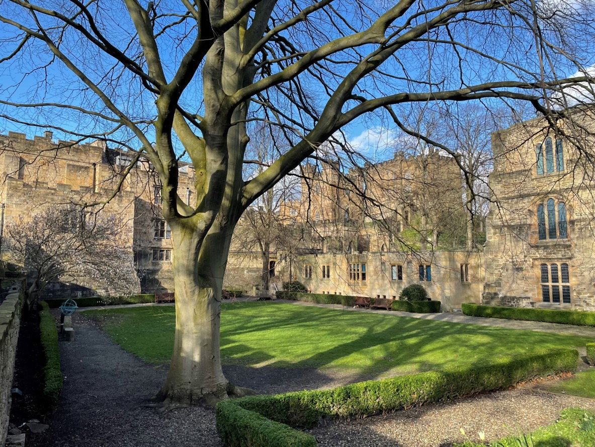 A picture of an outdoor space with a lawn and Durham Castle in the background.