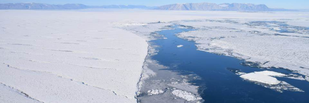 An aerial view of the Northeast Greenland Ice Stream showing a large swathe of ice on blue water.