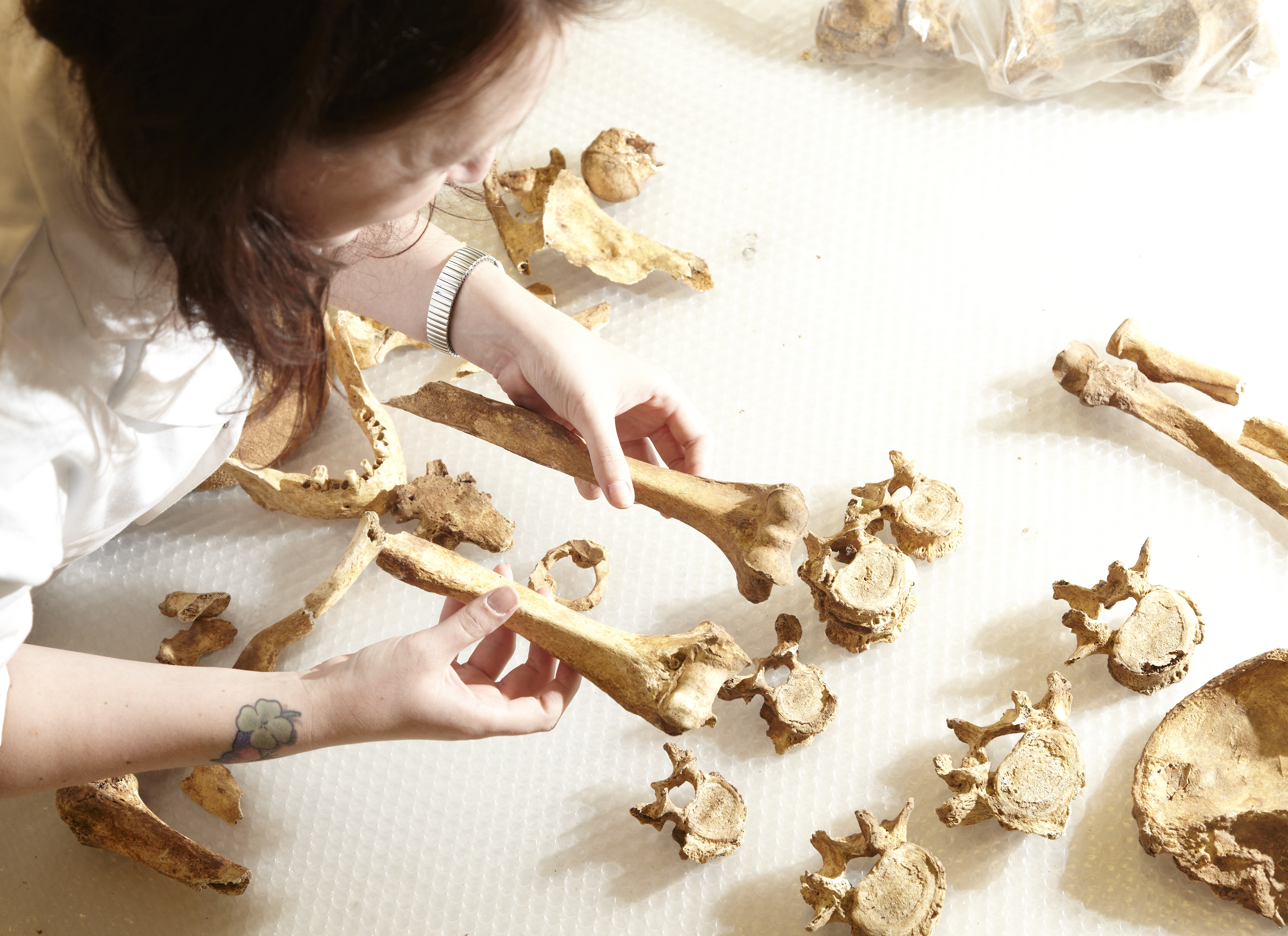 A student looking at bones