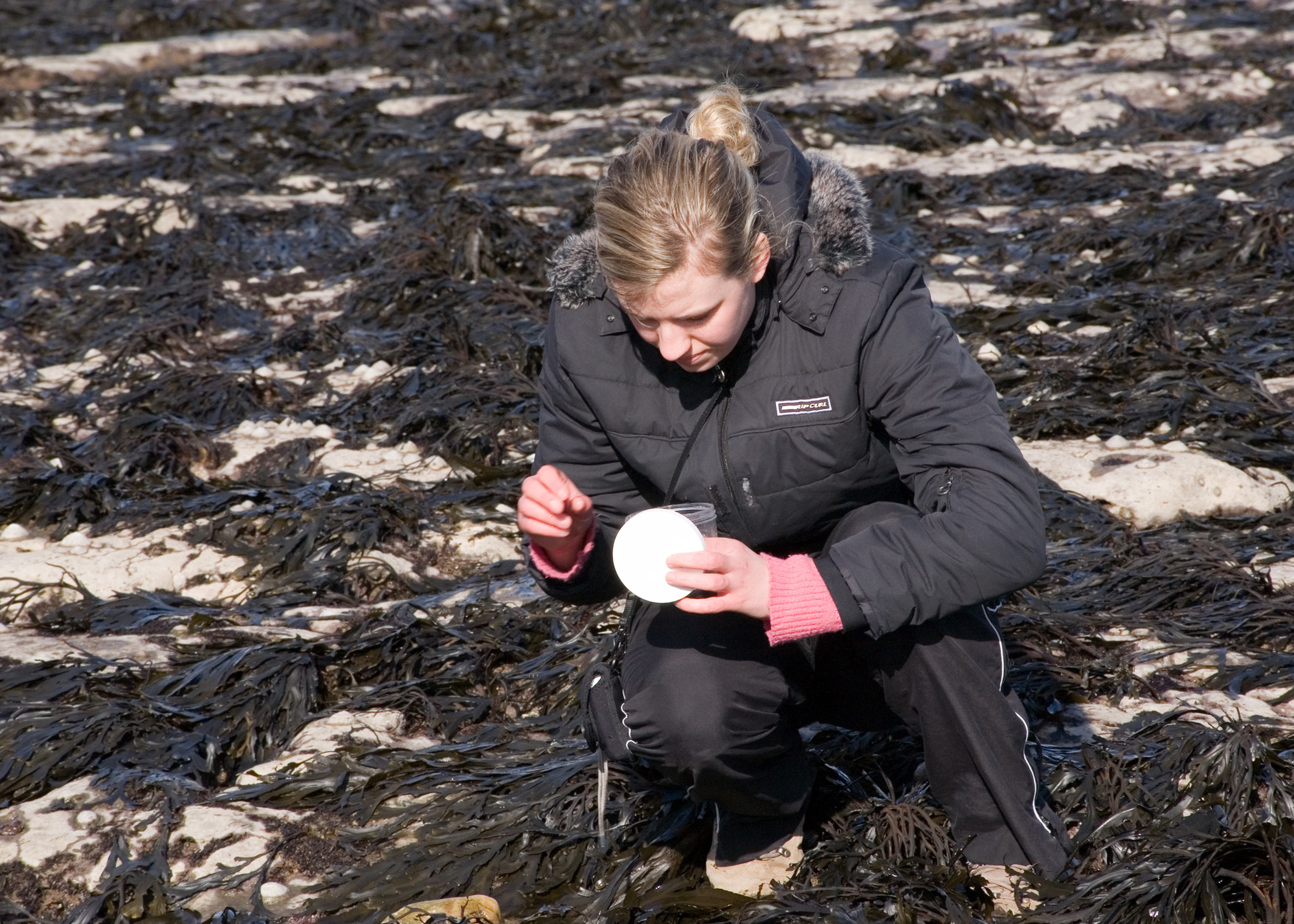 Woman finding samples on a shoreline