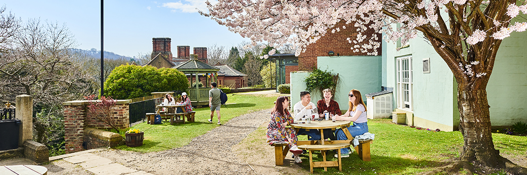 Groups of students sit outside at wooden tables. They are chatting and laughing, and it's a sunny day, with the surrounding trees covered in pink blossom