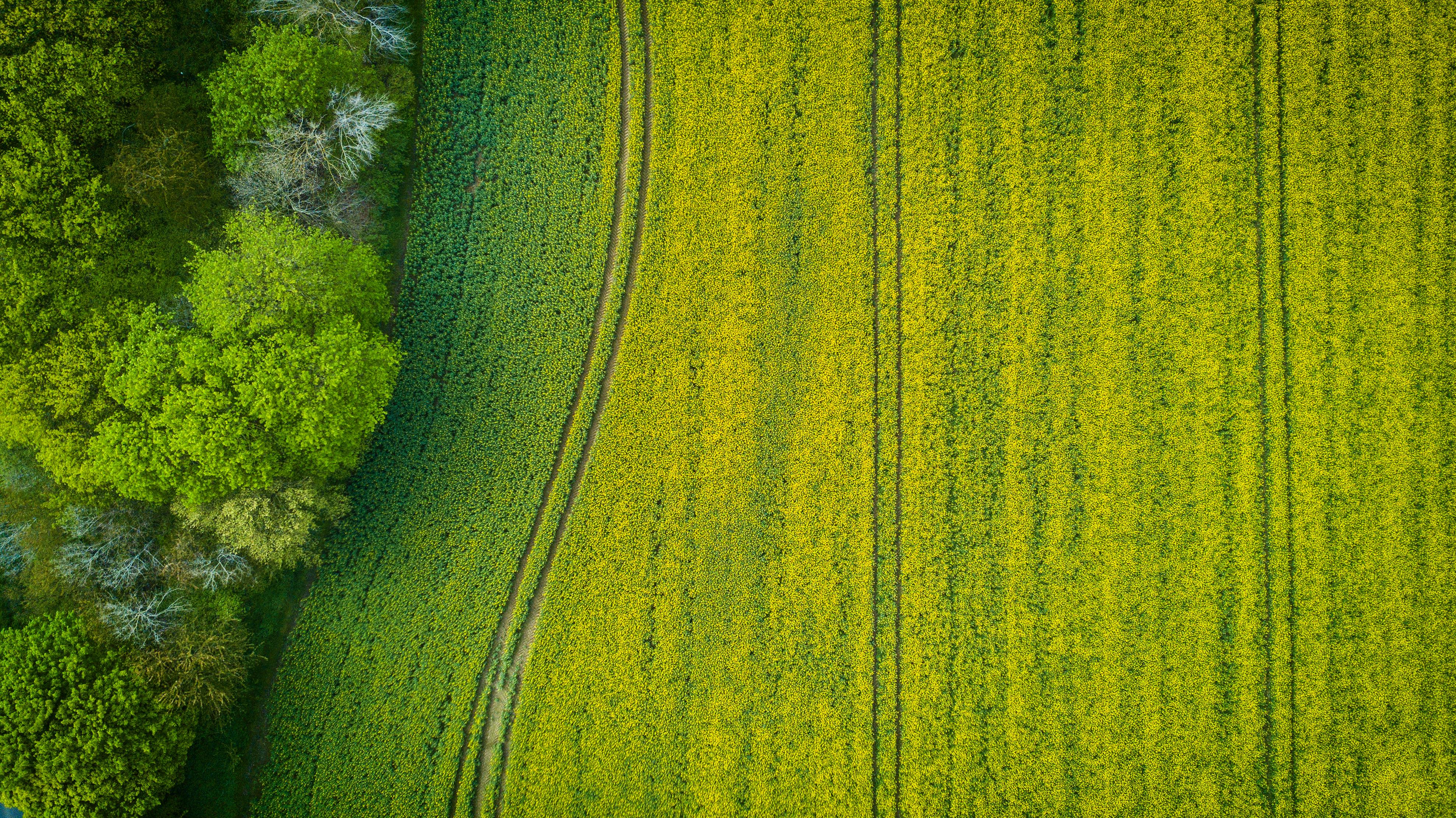 Fields from above
