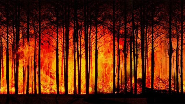 Out of control forest fire