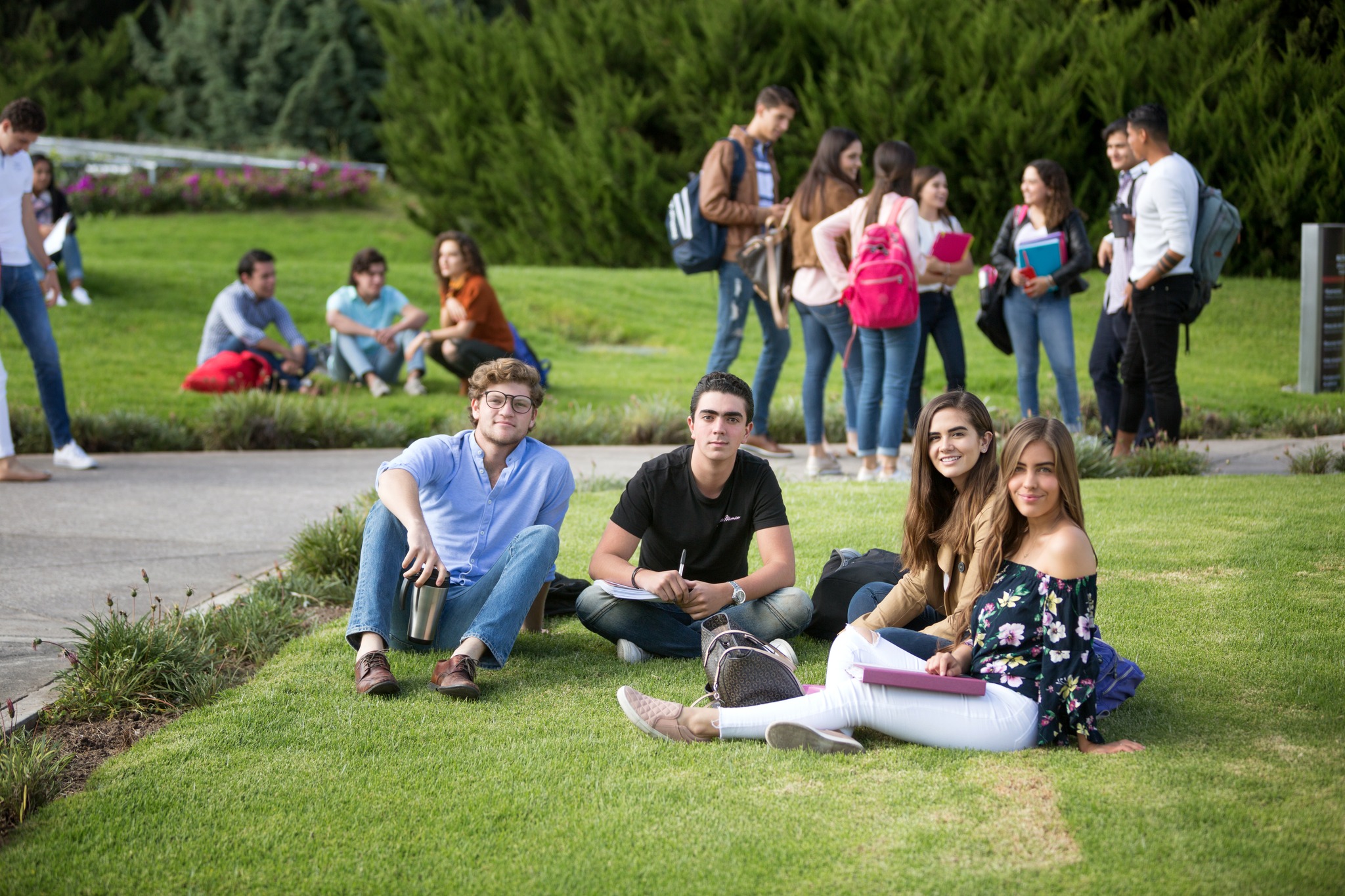 Student sitting on the grass