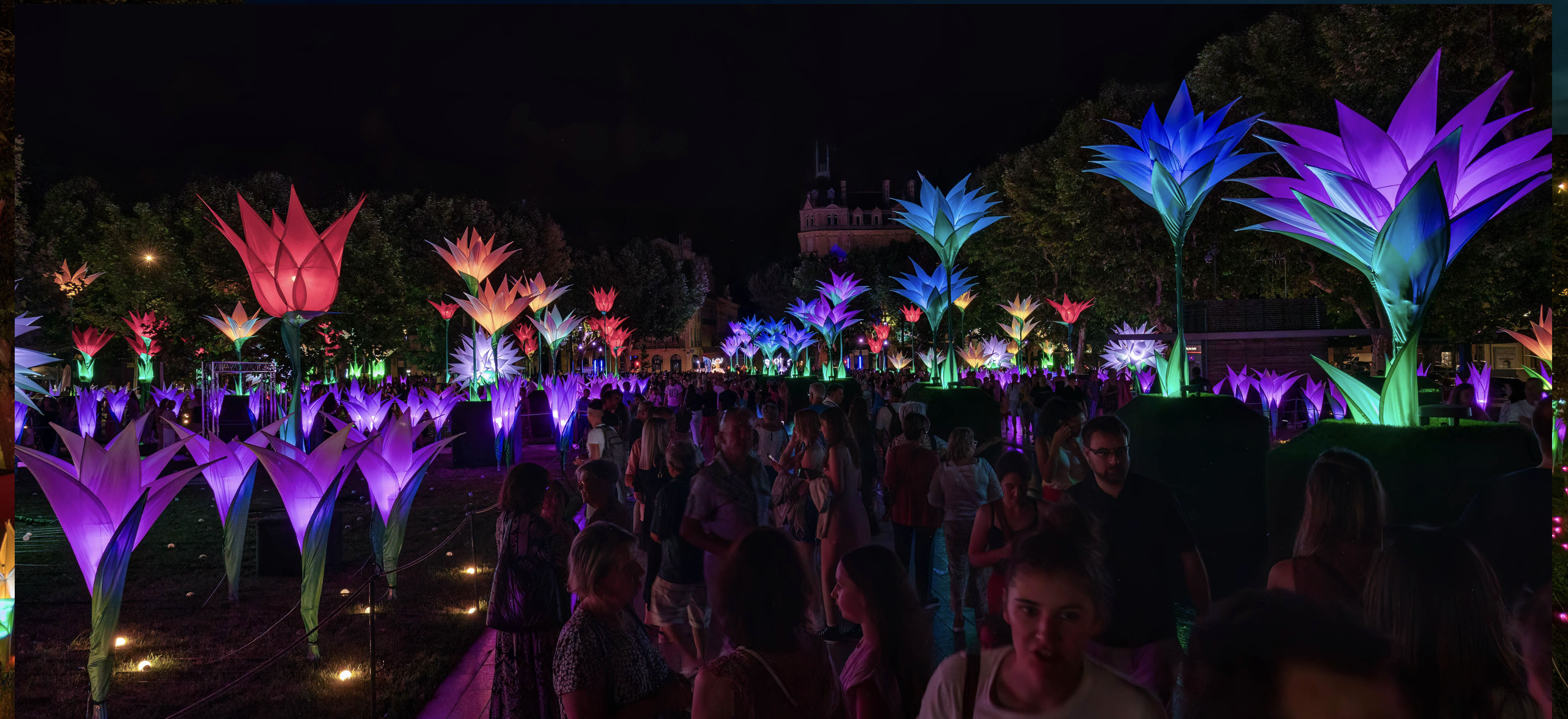 An installation of giant illuminated flowers lit up at nighttime as visitors walk through them.