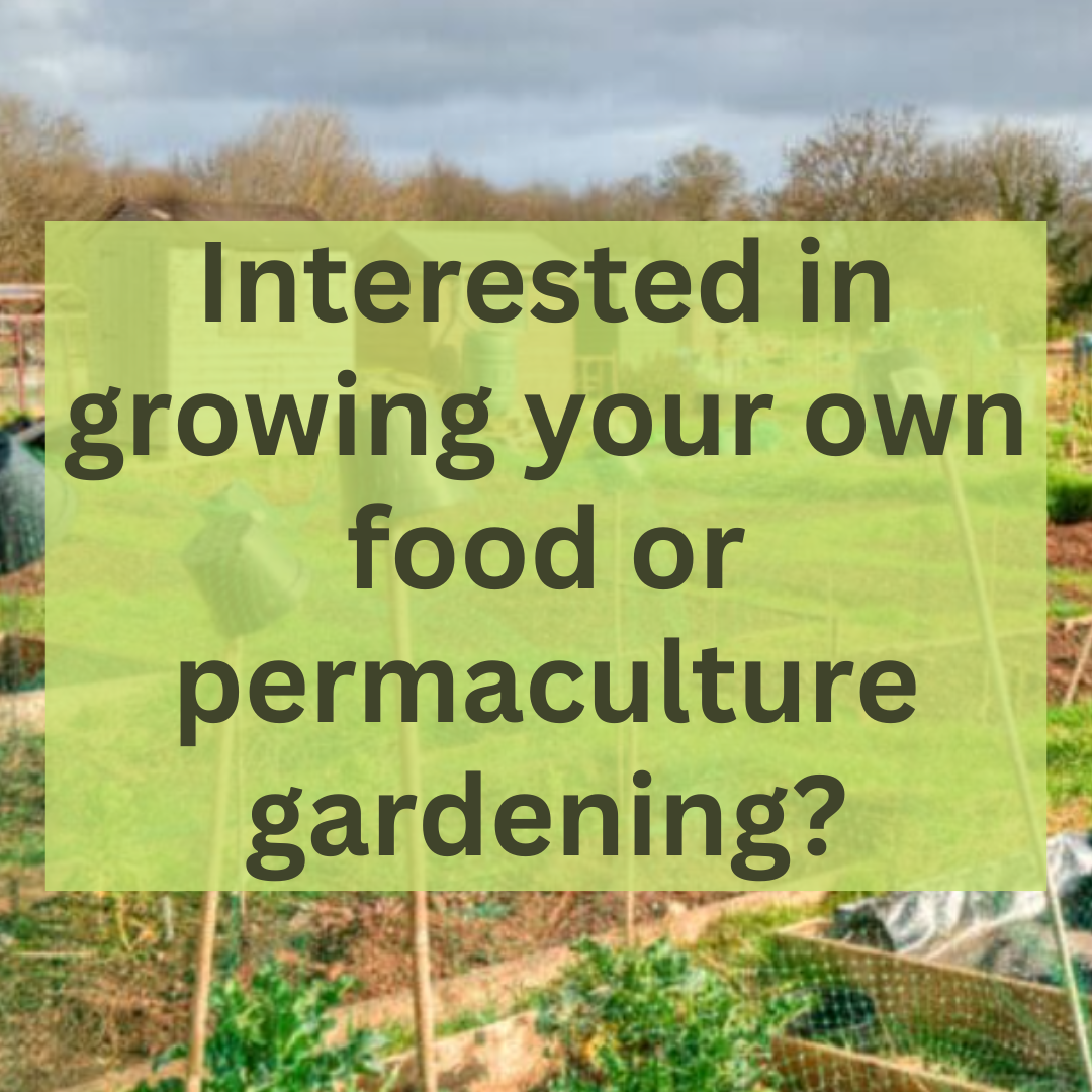 Abundant Earth permaculture grow your own