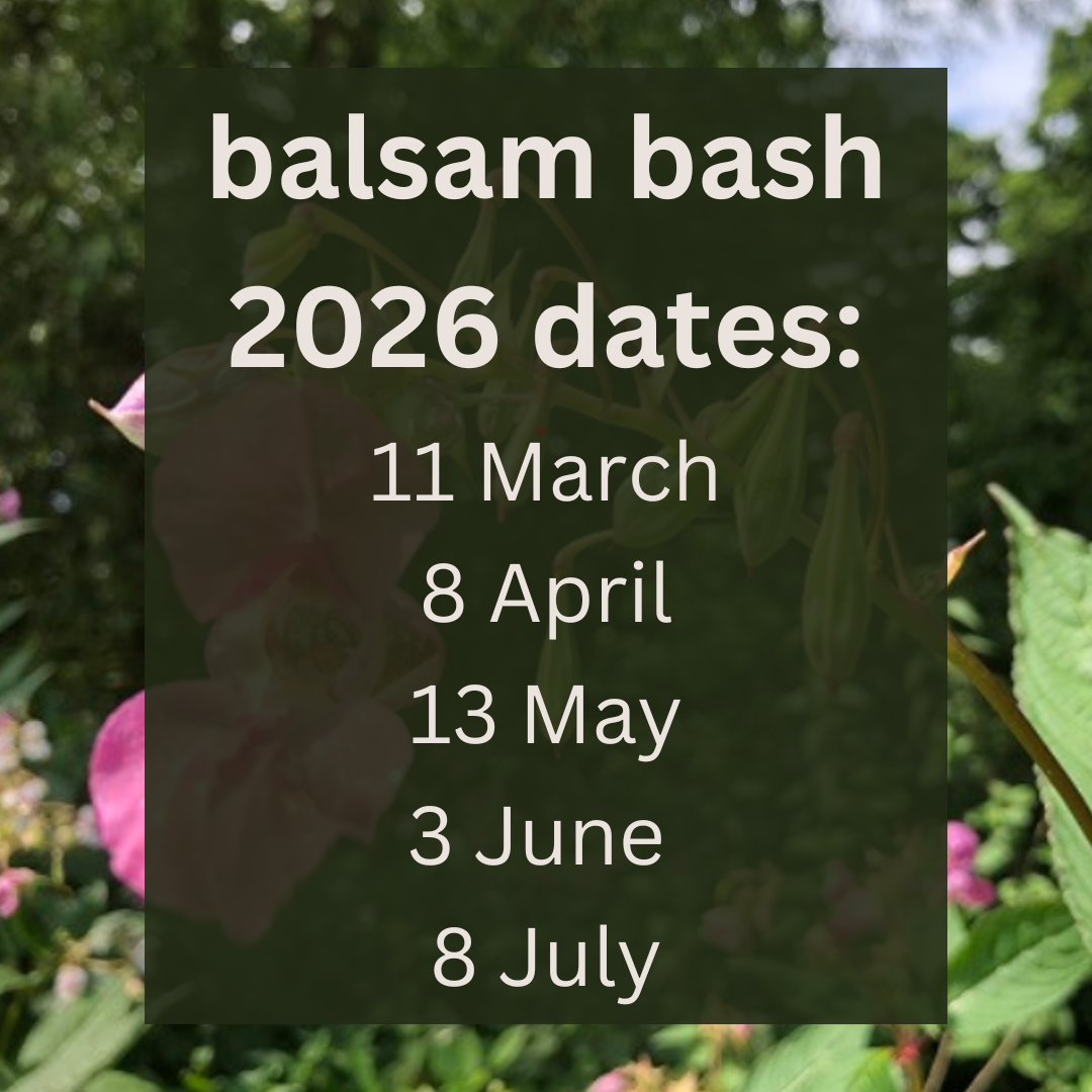 Balsam Bash dates 2026