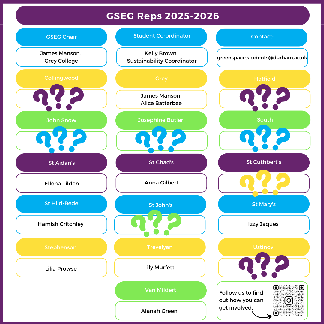 GSEG rep recruitment 25-26