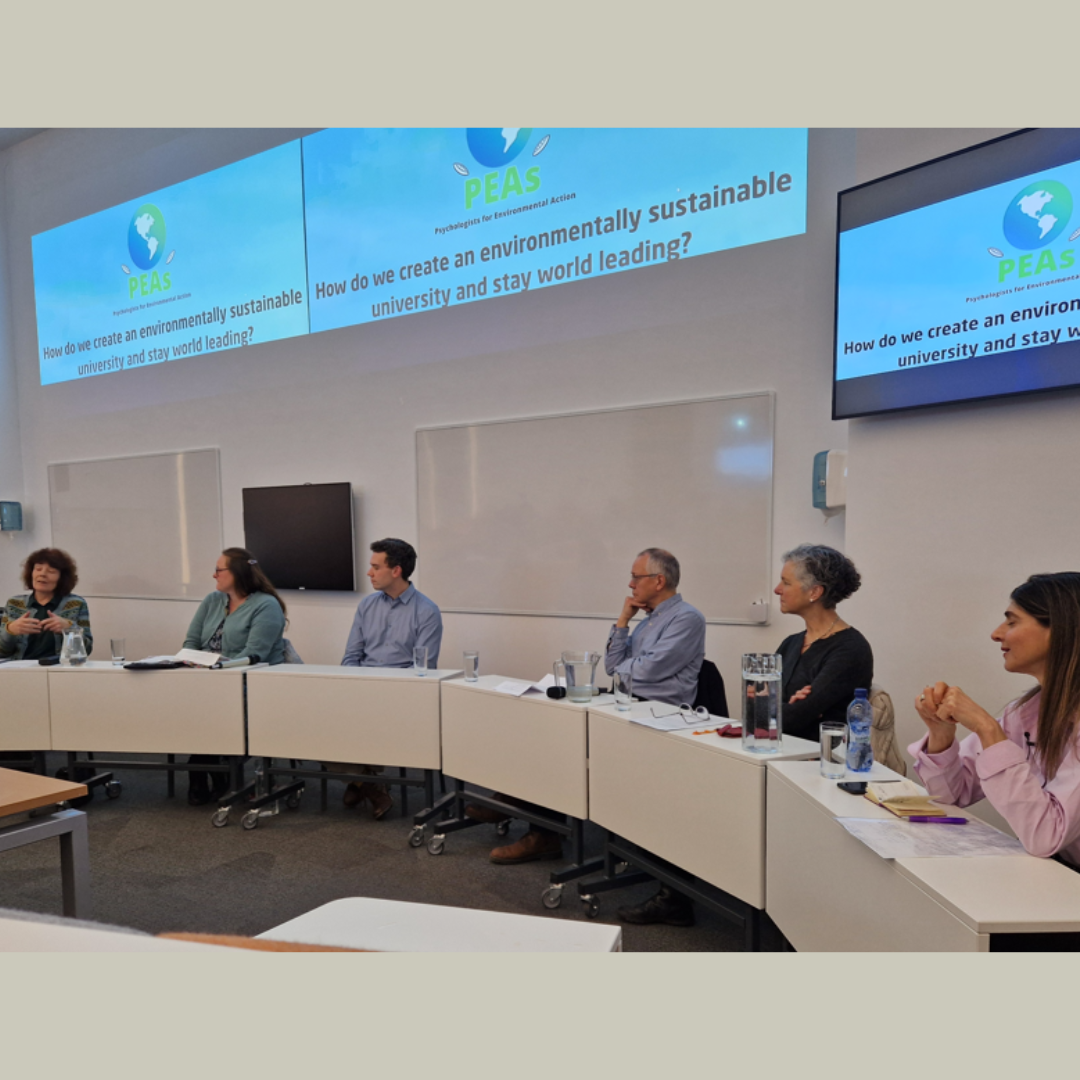 PEAs panel Jan 2026 s