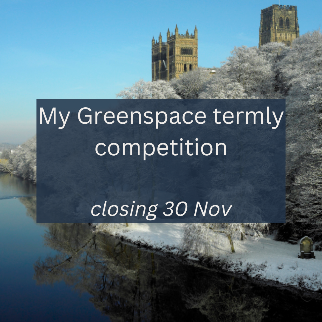My Greenspace app competition