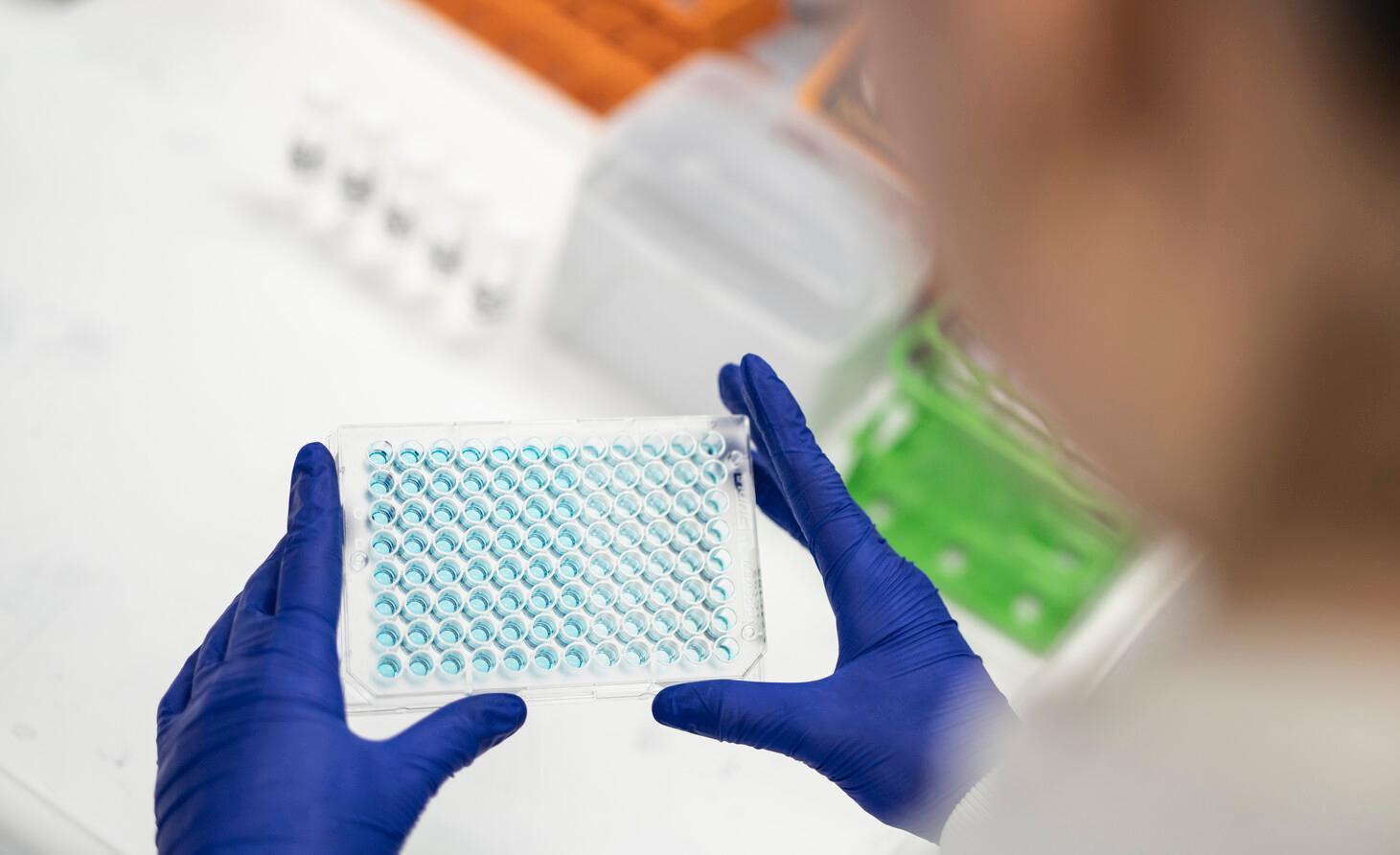 Sample tubes being held by purple latex gloves over a light box