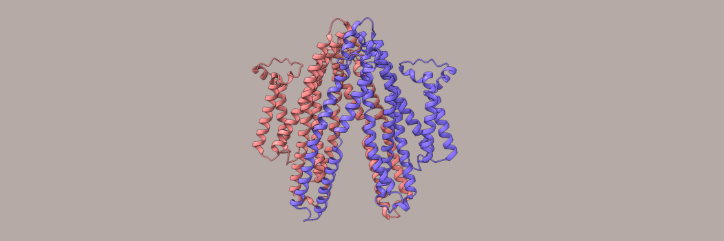 Image of SbmA with its 