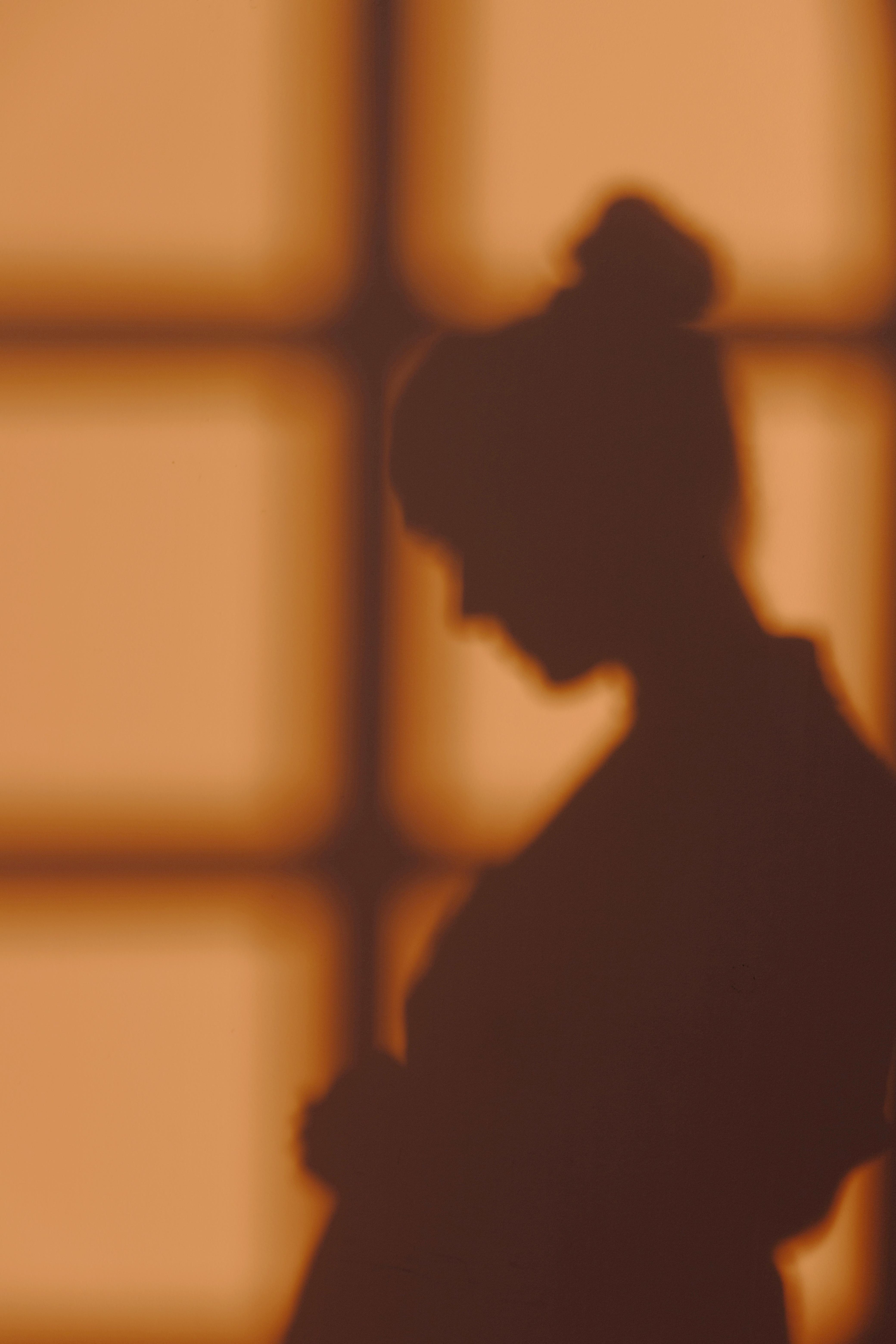 Silhouette of a woman at a window