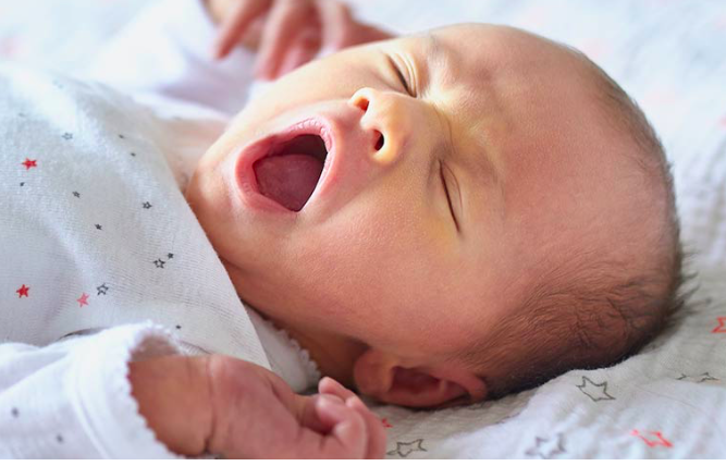 Cropped Basis homepage