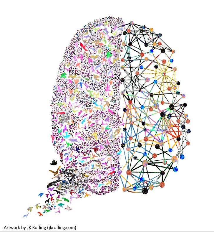 image of the brain by Varazzani