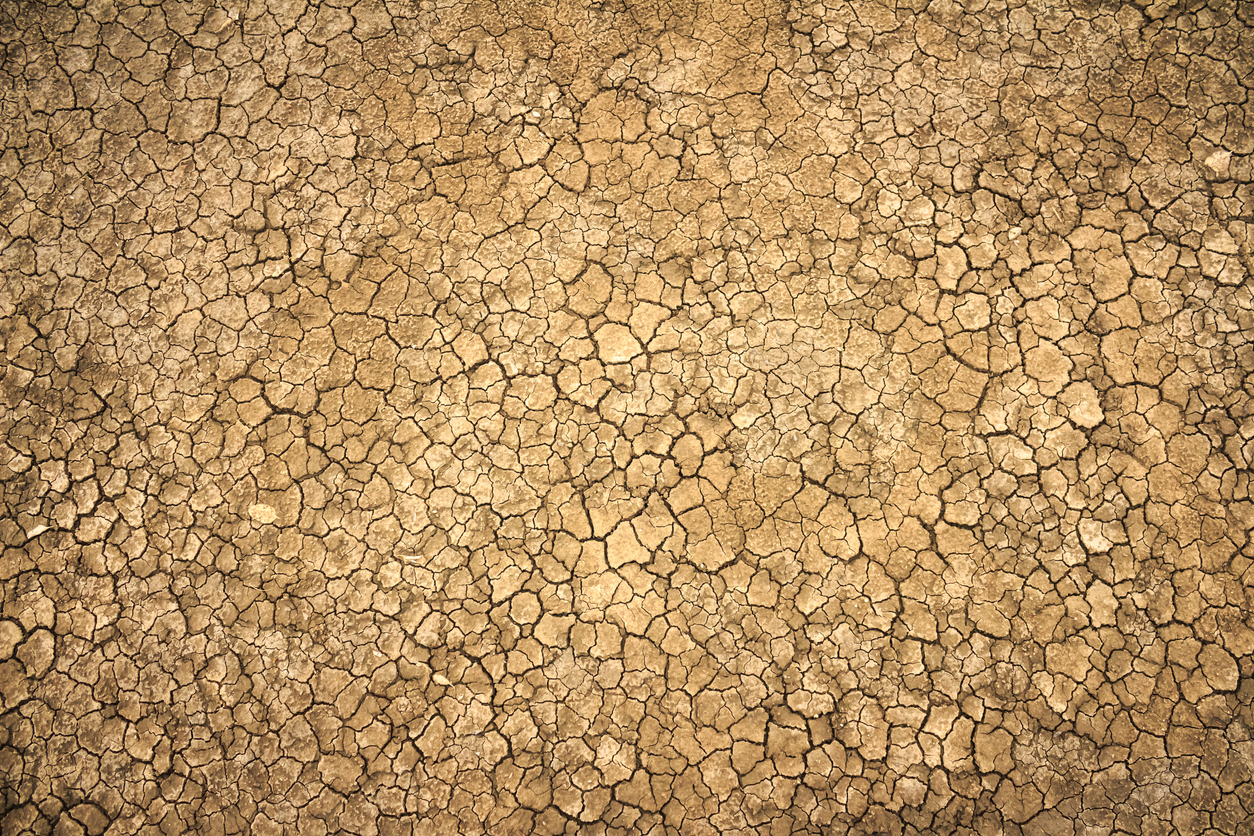 Dried up desert, cracks in land